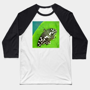 Spotted Butterfly Baseball T-Shirt